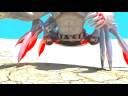 3D animation for college-QANTM- Sydney 3D animation for college-QANTM- Sydney