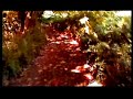 relk - vell camí de l\ relk - vell camí de l\