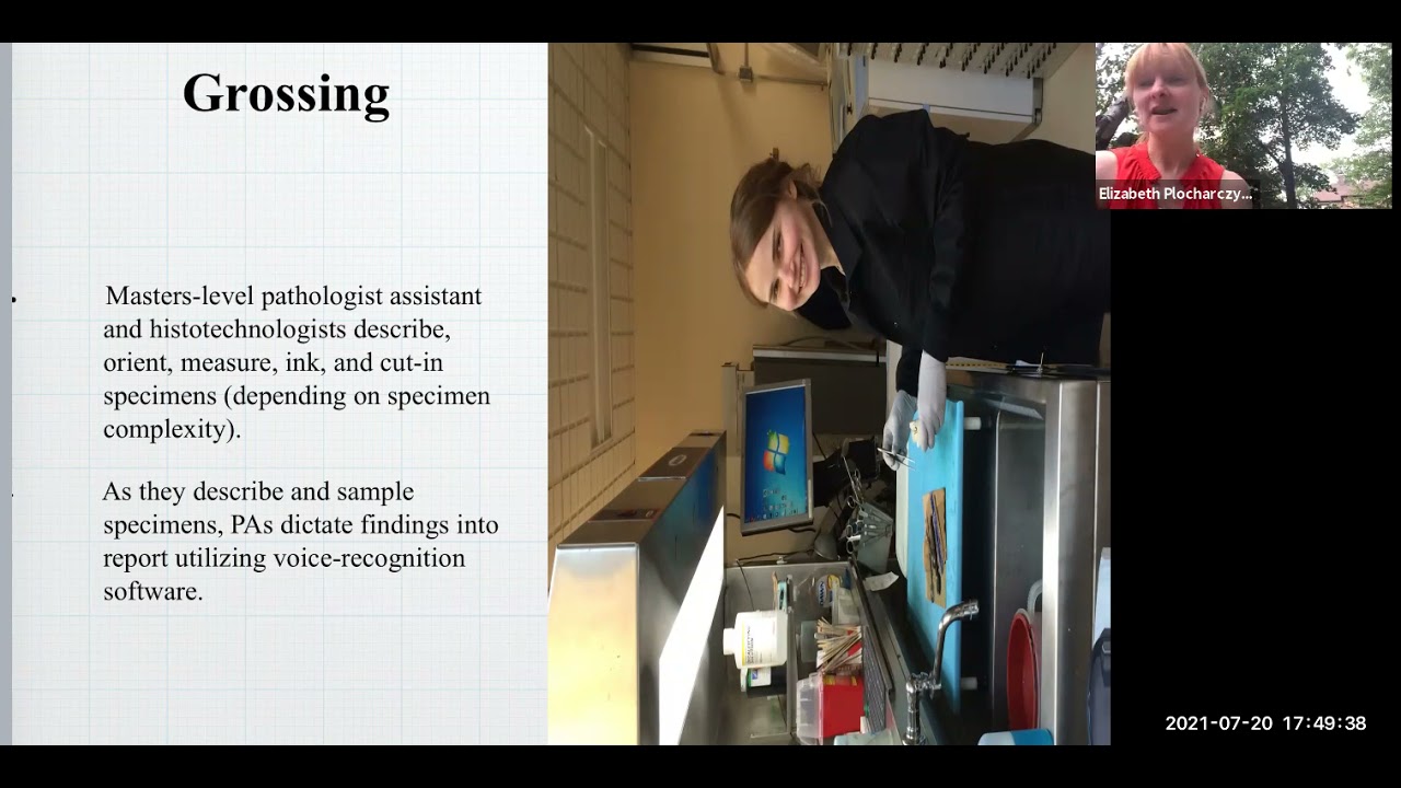 "Send it to the lab: inside the black box"