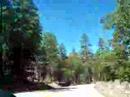 Big Bear 08