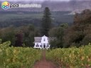 Cape Winelands - YouTube
