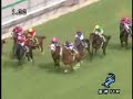 2008 ??? MAINICHI HAI
