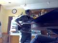 videos de GIUNGANO - BAR N. MOMENTI DI ALLEGRIA CON PASQUALE