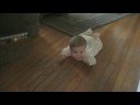Xander crawls Xander crawls