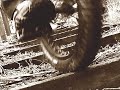 Unicycling video - First MUni of Spring