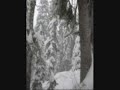 Borknagar - The Winterway
