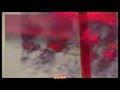 HEAVY SOUNDZ OP DE VRIJHEID roots sound 2006 }{ dutch plate