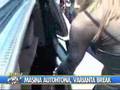 Dacia logan Break MCV