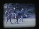 Lake Michigan Horses 1973.mov Lake Michigan Horses 1973.mov