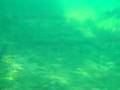 Blue Springs - School of GHARS !!