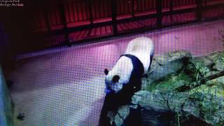 Smithsonian National Zoo