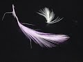 The Corrs – Toss the Feathers
