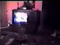 dobbs mikey doling tumor snot dog