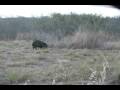 Ver Video