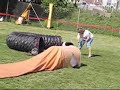 agility Maribor 19.05.2007 agility Maribor 19.05.2007