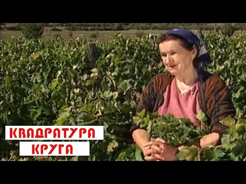 Youtube Tromeđa Youtube Tromeđa