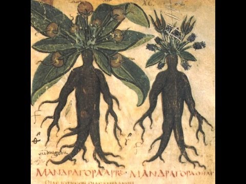 how to practice witchcraft