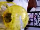 Beaker\ Beaker\