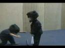 Auston  Will Stick Fight