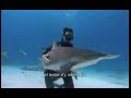 Bande annonce Les seigneurs de la mer