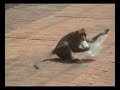 Lop Buri