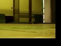 RC Dlift car Mclaren