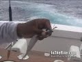 Circle Hook Super Chugger Combo