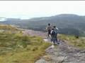 They're Taking the Hobbits to Ireland
