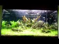My First Iwagumi - Juwel Rio 125