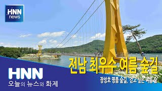 전남 최우수 여름 숲길