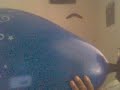 24 inch q-tex inflation