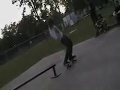 Day at the Park