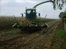 Ensilage 2007