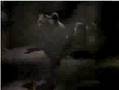 MAZE  ft Frankie Beverly - Can't get over you 1989