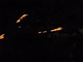 Journey at Greek Theatre-Sept 28, 2008 Journey at Greek Theatre-Sept 28, 2008