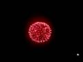 Victoria Day Fireworks 2008 (Toronto Ashbridge bay beach)