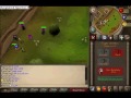 Il A G S Il Pk Vid 1
