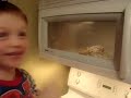Popcorn on the Cob Popcorn on the Cob
