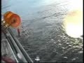 Squid Jigging