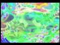 Trippy Video #2