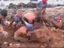 The Kaho`olawe `O`o Crew