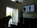 An Apple Dog: Dog Hates \"PC Guy\" in Mac Commercial