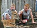 Pittsburgh Zoo and PPG Aquarium