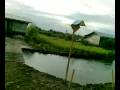 videos de KTM Sei Rambutan, Ogan Ilir
