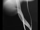 Art of Photography - Jaroslav Rössler
