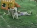 America's Funniest Videos - Easter Bloopers