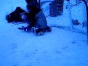 hockey part3