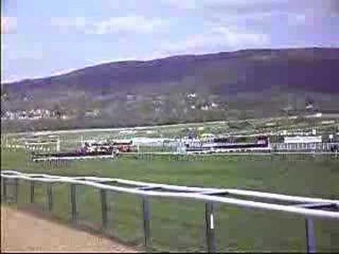 paddy power cheltenham