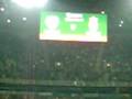 Irlandia-Polska 19.11.2008 Sektor 305.MOV