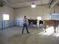 Franklin Nash at CSU Proper Bull Collection